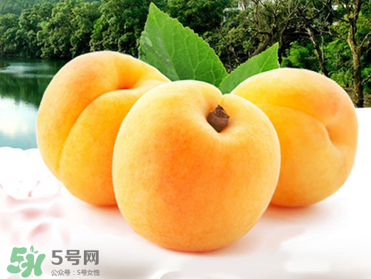 黃桃是酸性還是堿性？黃桃罐頭是酸性還是堿性？