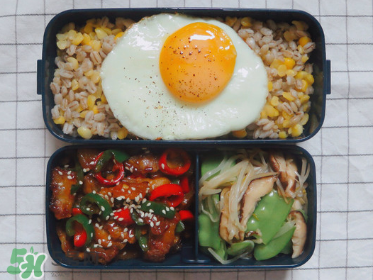 夏天用保溫盒帶飯會壞嗎？夏天能用保溫盒帶飯嗎？