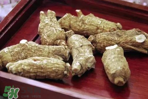 西洋參補(bǔ)腎嗎？西洋參適合什么季節(jié)吃