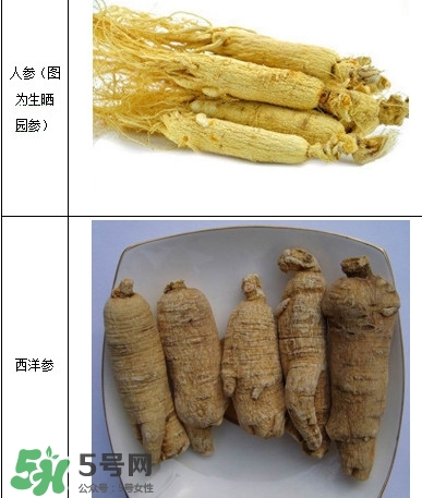西洋參怎么吃效果最好？西洋參與人參的區(qū)別