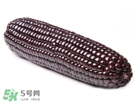 紫玉米會(huì)掉色嗎？紫玉米怎么會(huì)掉色？
