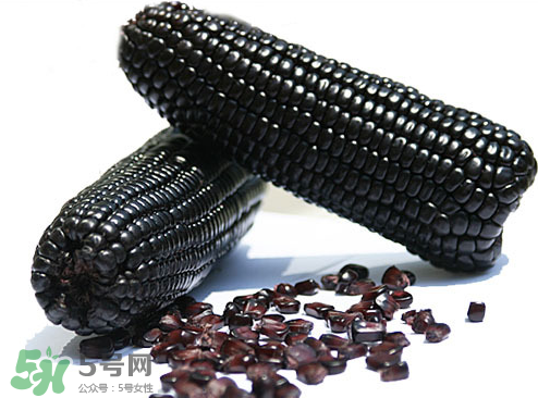 紫玉米會(huì)掉色嗎？紫玉米怎么會(huì)掉色？