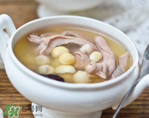 新鮮蓮子可以燉湯嗎？新鮮蓮子怎么煲湯？