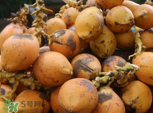 椰子什么時候成熟？椰子什么時候吃最好