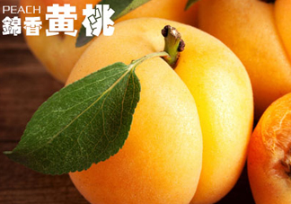 黃桃和香蕉能一起吃嗎？ 香蕉可以和黃桃一起吃嗎？