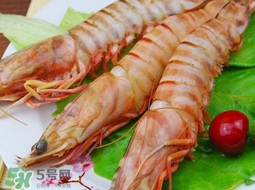 活的斑節(jié)蝦多少錢一斤？野生斑節(jié)蝦多少錢一斤