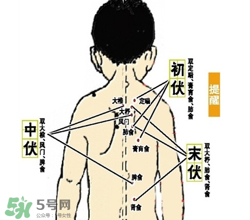 三九灸和三伏灸有什么區(qū)別？做完三伏灸要注意什么？