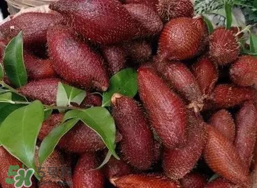 蛇皮果好吃嗎？蛇皮果多少錢一斤？