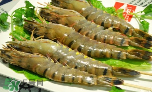 斑節(jié)蝦是九節(jié)蝦嗎？斑節(jié)蝦和九節(jié)蝦的區(qū)別