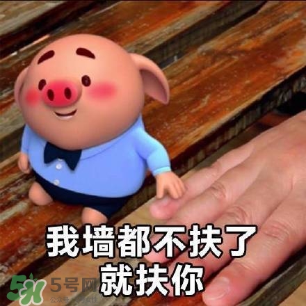 豬小屁表情包是什么？豬小屁表情包為什么這么火？