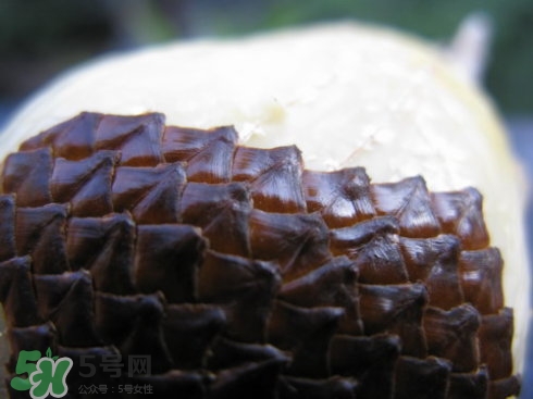 蛇皮果能生吃嗎？蛇皮果能放冰箱嗎？