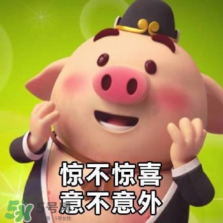 豬小屁表情包是什么？豬小屁表情包為什么這么火？