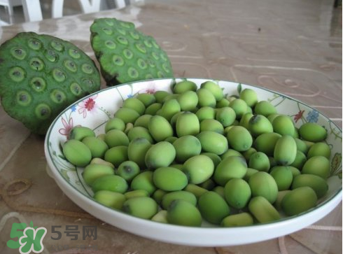 新鮮蓮子多少錢一斤？新鮮蓮子哪里有賣？