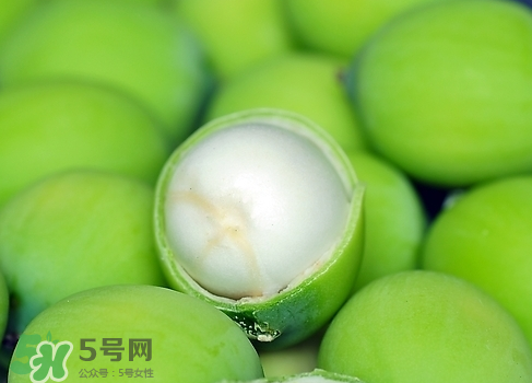 新鮮蓮子多少錢一斤？新鮮蓮子哪里有賣？