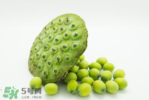 新鮮蓮子可以直接吃嗎？生蓮子可以直接吃嗎？