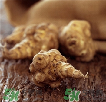 洋姜可以曬干泡水喝嗎?洋姜能泡水喝嗎? 洋姜可以曬干泡水喝嗎?洋姜能泡水喝嗎?