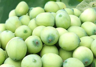 新鮮蓮蓬可以去胎毒嗎？蓮蓬煮水可以去胎毒嗎？