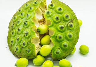 新鮮蓮子有什么功效？新鮮蓮子一次吃多少？