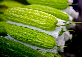 苦瓜多少錢一斤？苦瓜多少錢一斤2017？