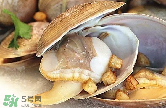 蜆子是蛤蜊嗎？蜆子和文蛤怎樣區(qū)別