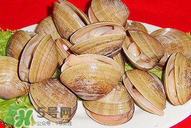 蜆子是蛤蜊嗎？蜆子和文蛤怎樣區(qū)別