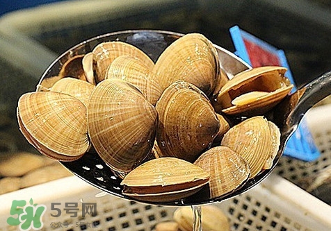 黃蜆子和花蜆子哪個(gè)好？黃蜆子和花蜆子的區(qū)別