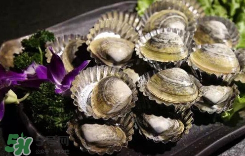 蜆子有寄生蟲嗎？黃蜆子有寄生蟲嗎？