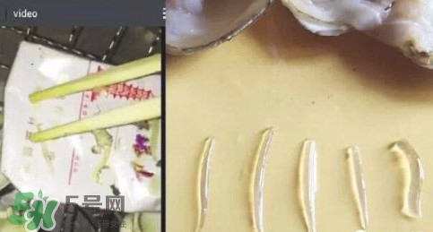 蜆子肉里白色長條東西是什么？蜆子肉里面透明的能吃嗎