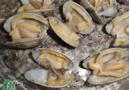 蜆子死了還能吃嗎？蜆子死了多久不能吃
