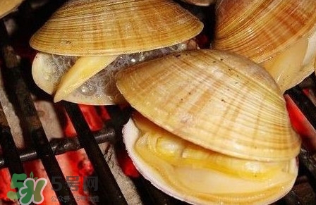 黃蜆子多少錢一斤？河蜆子多少錢一斤