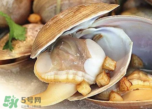 蒸蜆子多長時間？黃蜆子蒸多久能熟？