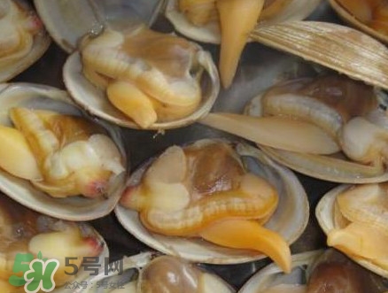 蜆子肉里白色長條東西是什么？蜆子肉里面透明的能吃嗎