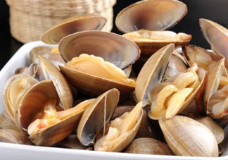 黃蜆子多少錢一斤？河蜆子多少錢一斤