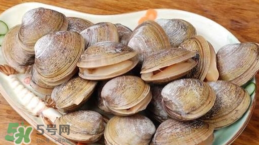 蜆子是蛤蜊嗎？蜆子和文蛤怎樣區(qū)別