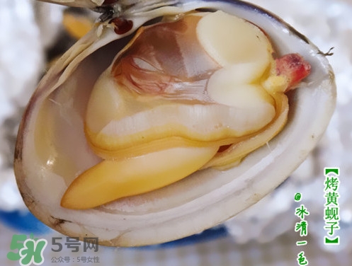 蜆子什么樣的是活的？蜆子開口是死還是活