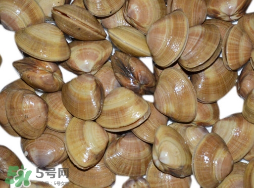 蜆子是花甲嗎？蜆子是海鮮嗎？