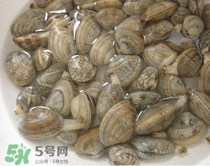 蜆子死了還能吃嗎？蜆子死了多久不能吃