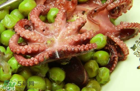 八爪魚(yú)多少錢(qián)一斤？章魚(yú)多少錢(qián)一斤