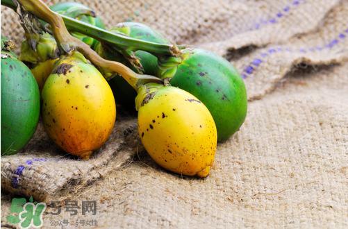 檳榔什么味道？正宗的檳榔是什么味道？