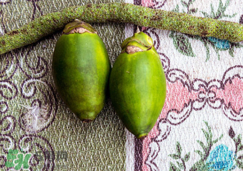 檳榔什么味道？正宗的檳榔是什么味道？