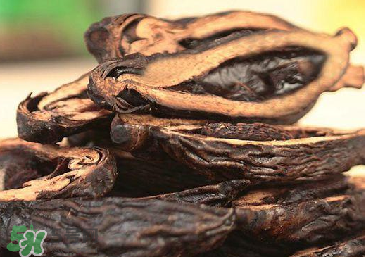 檳榔不能和什么一起吃？檳榔和什么不能一起吃？