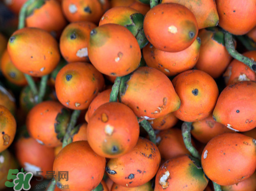 檳榔不能和什么一起吃？檳榔和什么不能一起吃？