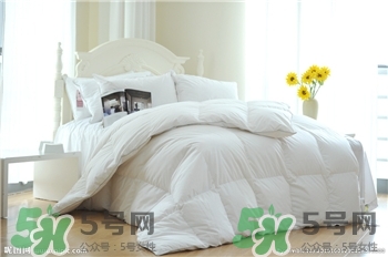 怎么防止床上長(zhǎng)螨蟲?如何判斷被子有沒有螨蟲? 怎么防止床上長(zhǎng)螨蟲?如何判斷被子有沒有螨蟲?