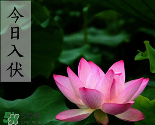 2017年頭伏是幾月幾號？2017年入伏第一天是幾月幾號？