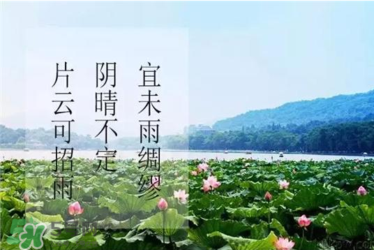 2017年幾月幾號入伏？入伏是幾月幾號2017？