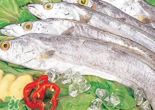 帶魚(yú)是咸的嗎？帶魚(yú)是無(wú)鱗魚(yú)嗎