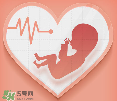 胎心儀可以天天用嗎？胎心儀的使用頻率