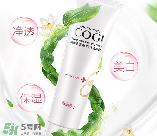 高姿洗面奶多少錢？高姿洗面奶真假查詢