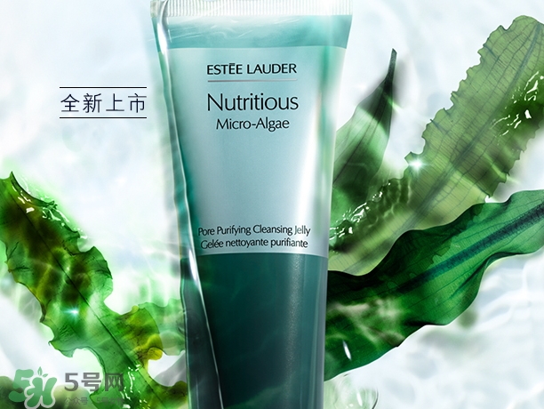 雅詩(shī)蘭黛海藻潔面泡泡多少錢(qián)_專柜價(jià)格