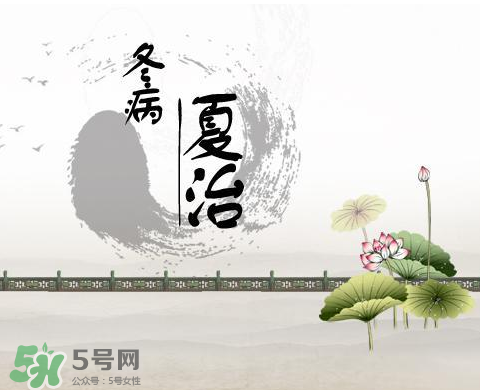 2017年三伏貼什么時(shí)候貼？2017年三伏貼貼幾天？